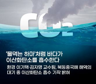 '물먹는 하마'처럼 바다가 이산화탄소를 흡수한다 환경 이기택·김자명 교수팀, 북동중국해 해역의 대기 중 이산화탄소 흡수 기작 밝혀