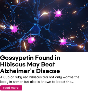 Gossypetin Found in Hibiscus May Beat Alzheimer's Disease